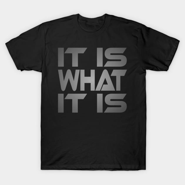 It Is What It Is Idium Series T-Shirt by Village Values